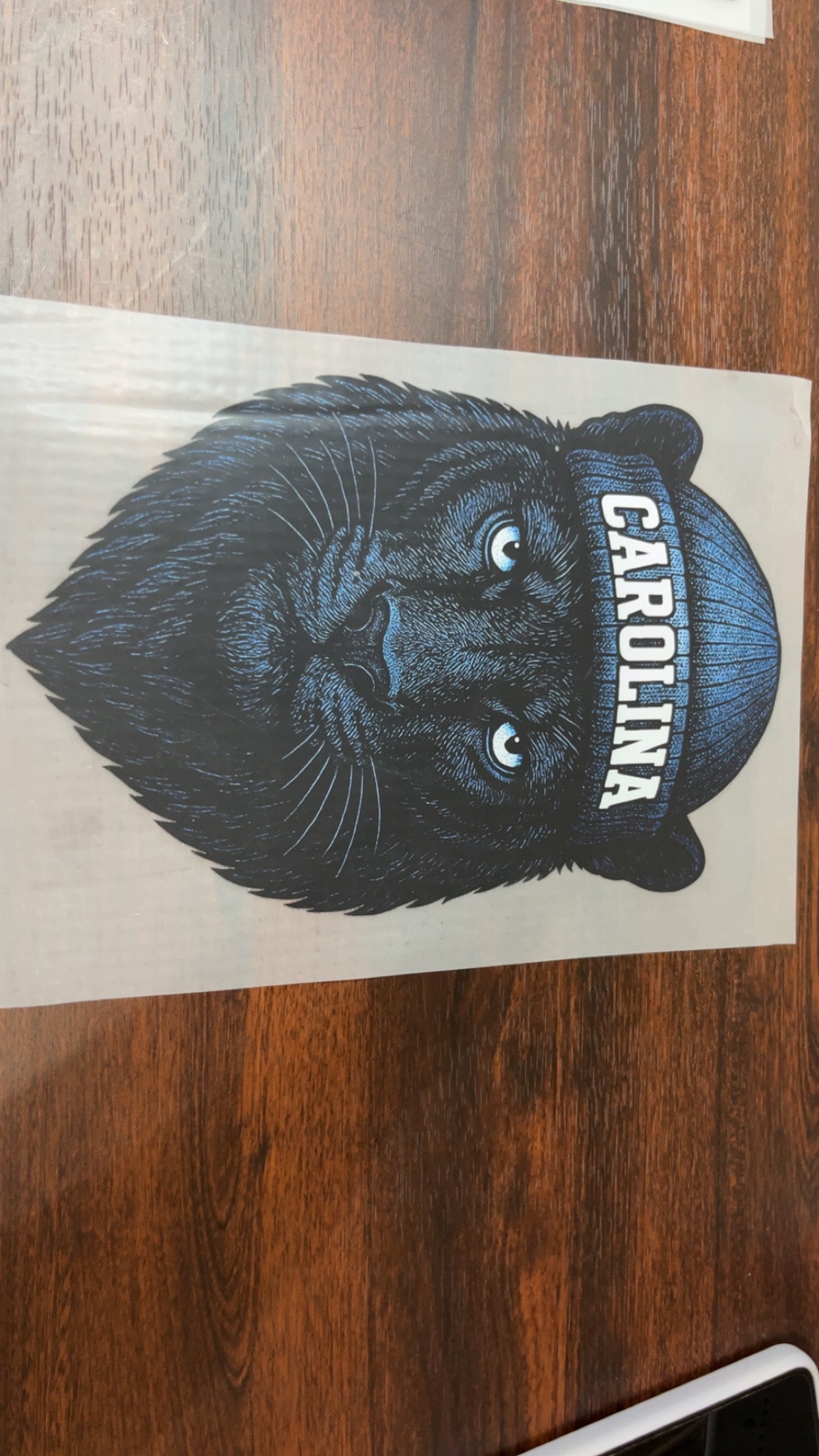 Carolina Panther 