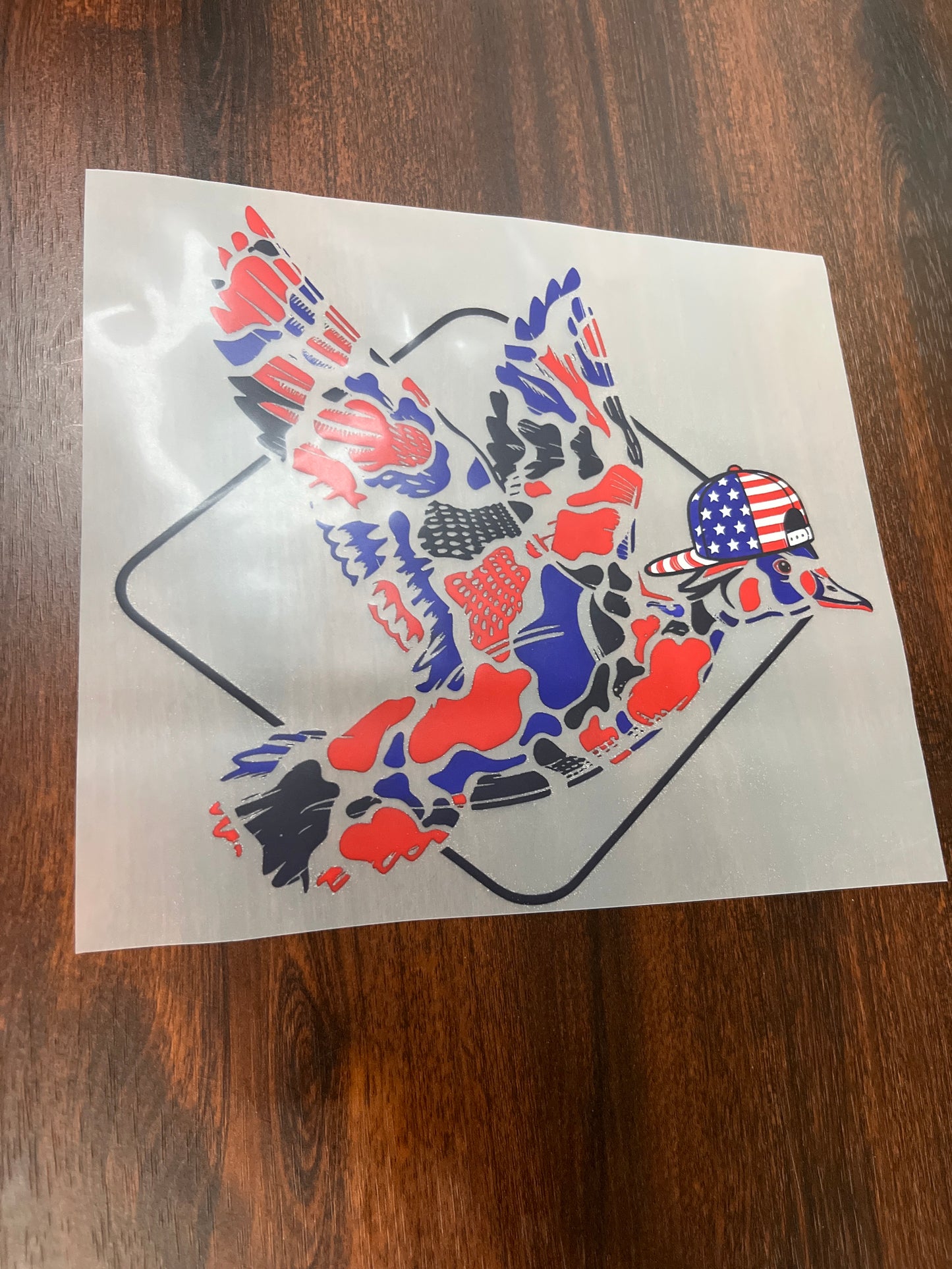 American duck