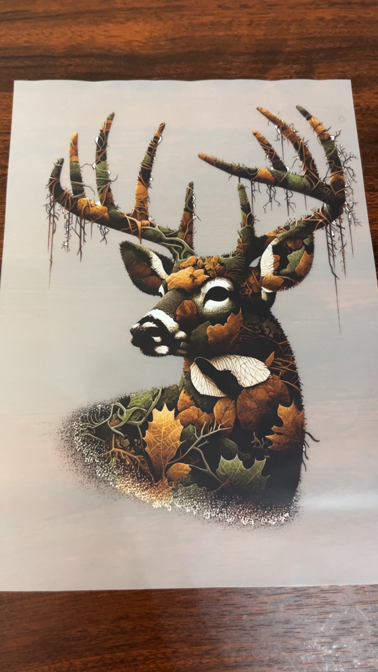 Deer