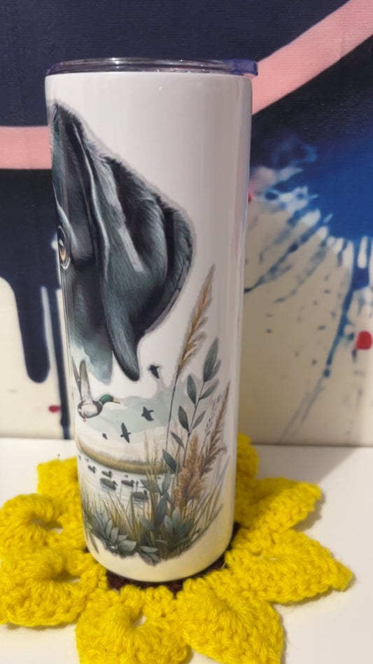 Lab Dog With bird ￼