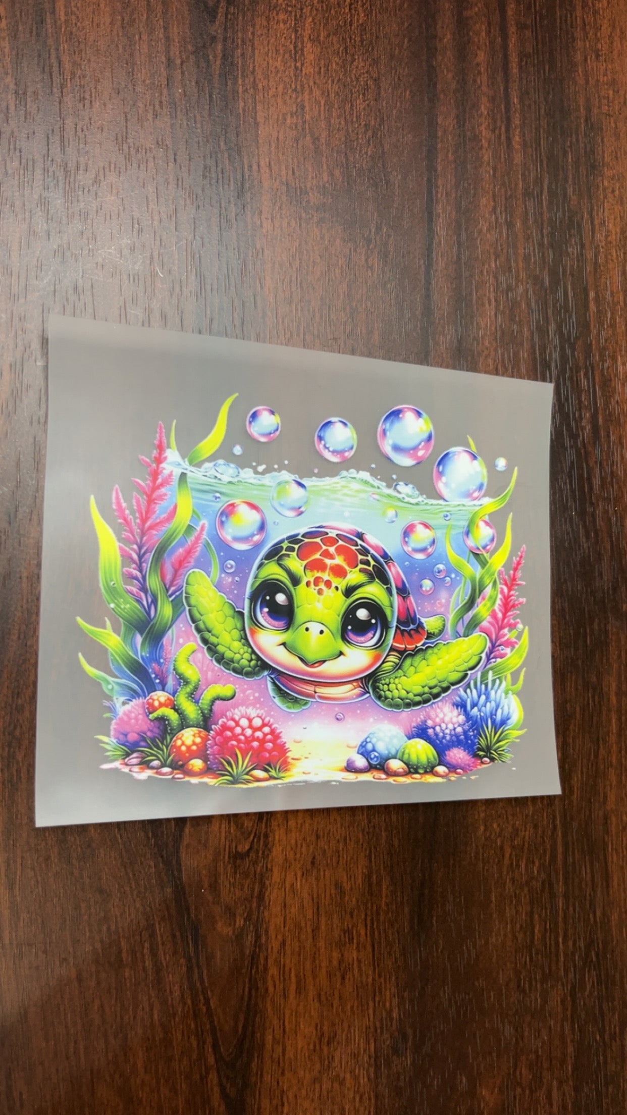 Kid Size Turtle ￼